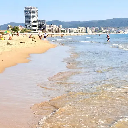 Sea View Cacao Σάνι Μπιτς